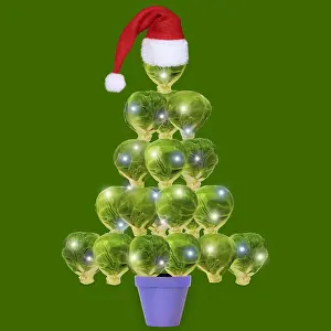 Sprouts: Brussel Sprout Christmas tree with lights and Christmas hat