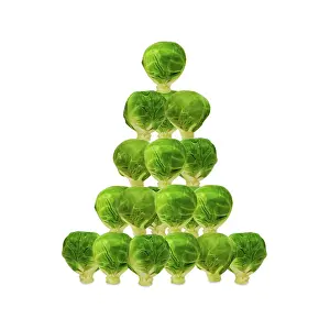 Sprouts: Brussel Sprout - in Christmas tree shape