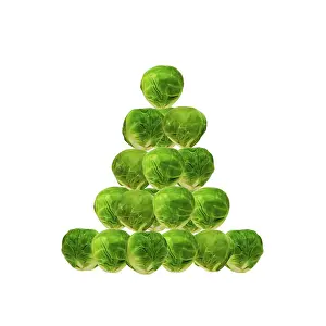 Sprouts: Brussel Sprout - in Christmas tree shape