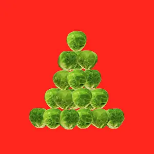 Sprouts: Brussel Sprout - in Christmas tree shape on red background