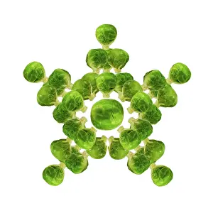 Sprouts: Brussel Sprout - in star or snowflake shape