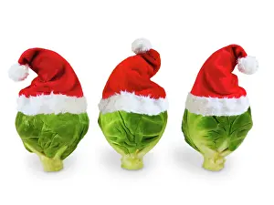 Sprouts: Brussel Sprouts - in Christmas hats