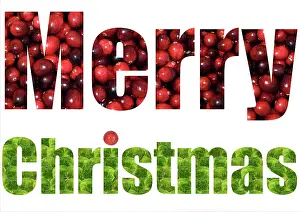 Sprouts: Brussel Sprouts & Cranberries spelling Merry Christmas