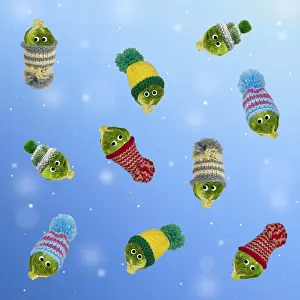 Sprouts: Brussel Sprouts, with woolly hats and googly