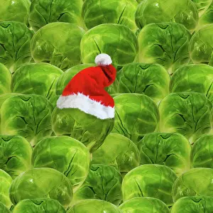 Sprouts: Brussels sprout - one with Christmas hat