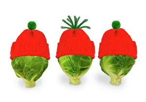 Sprouts: Brussels sprout - with red and green woolly hat