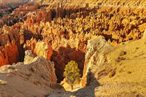 Chain: Bryce Amphitheatre at sunrise, Bryce Canyon National