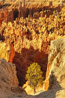 Chain: Bryce Amphitheatre at sunrise, Bryce Canyon National