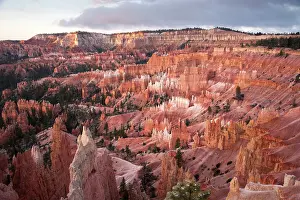 Amphitheatre: Bryce Canyon