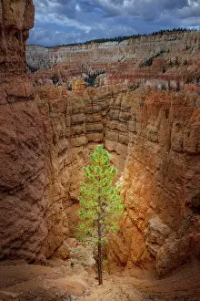Canyon: Bryce Canyon, Bryce Canyon National Park, Utah