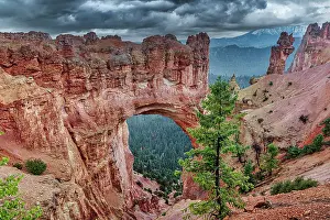 Utah: Bryce Canyon National Park