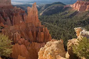 Fairview: Bryce Canyon, National Park, Fairview, Utah, USA