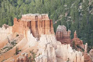 Canyons: Bryce canyon national park with forest in the b