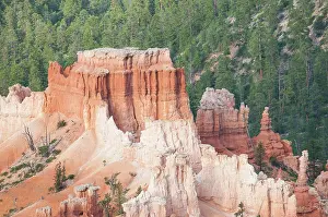 Wind: Bryce canyon national park with a forest in a background, Utah, USA