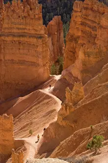 Footpaths: Bryce Canyon National Park - trail down into canyon