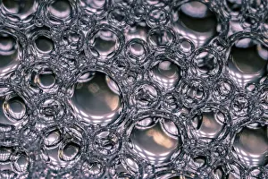 Bubbles: Bubbles