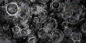Leenderbos: Bubbles in the ice