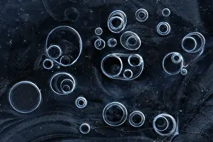 Foreland: Bubbles trapped under ice, The Netherlands, Overijssel