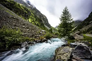 Tyrol: A bubbling mountain stream flows through a rocky landscape with fir trees