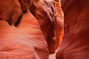 Buckskin: Buckskin Gulch Narrows - a very narrow and high