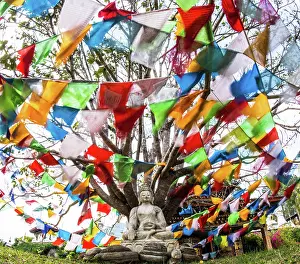 Renato Granieri: Buddha statue under a tree and colourful prayer flags