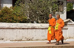 Monks: Buddhist novices in the main road of Luang Prabang