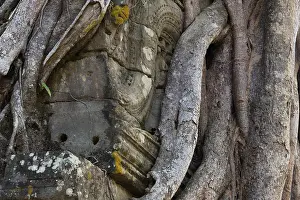 Religion: Buddhist temple buildings, jungle temples