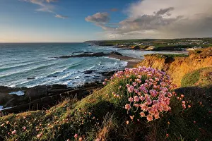 Thrift: Bude - Beach and Cliffs - Cornwall - UK