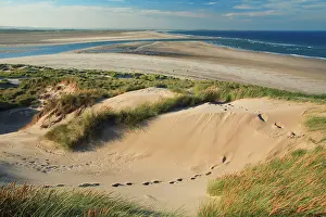 Budle: Budle Bay - Ross Sands sand dunes, view looking north