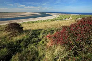 Budle: Budle Bay Wildfowl Reserve - Budle Point in autumn