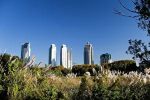 Buenos: Buenos Aires, Argentina. Downtown Buenos