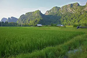Connie: Buffer zone village wit rice paddies, Cat