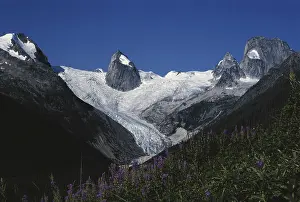 Terminus: Bugaboo Glacier, Canada