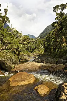 Streaming: Bujuko River, Rwenzori, Uganda