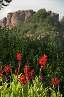Bulgarian: Bulgaria, Belogradshick. The Rocks of Belogradshick