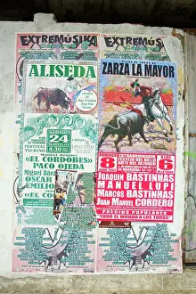 Posters: Bull Fighting Posters