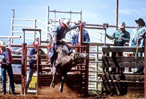 Rodeo: Bull rider on a bucking bull