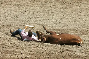 Styles: Bulldogging Cheyenne's World-Famous Rodeo