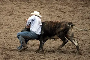 Styles: bulldogging during the Frontier Days Cheyenne USA