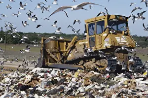 Refuse: Bulldozer in Landfill