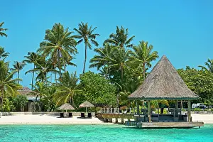 Palms: Bungalow on the beach, Bora Bora, French Polynesia