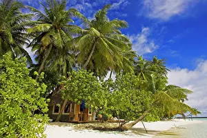 Cottages: Bungalow on Vilureef Resort, Maledives
