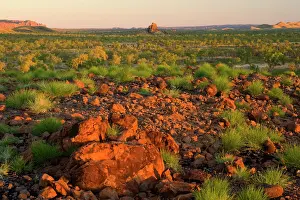 Bungle: Bungles View - panoramic view of spinifex-covered