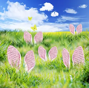 140319: Bunny Rabbits hiding in long grass in spring