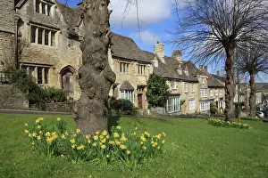 Burford: Burford - Spring day with Daffodils