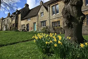 Burford: Burford - Spring day with Daffodils