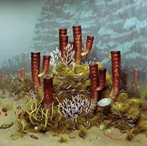 Models: Burgess Shale fauna