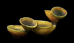 Sponges: Burgess Shale sponge