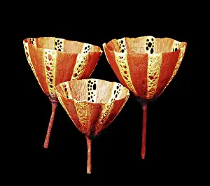 Reconstruction: Burgess Shale sponge
