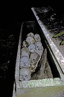 Graves: In one of the burial caves in Toradja Land in the